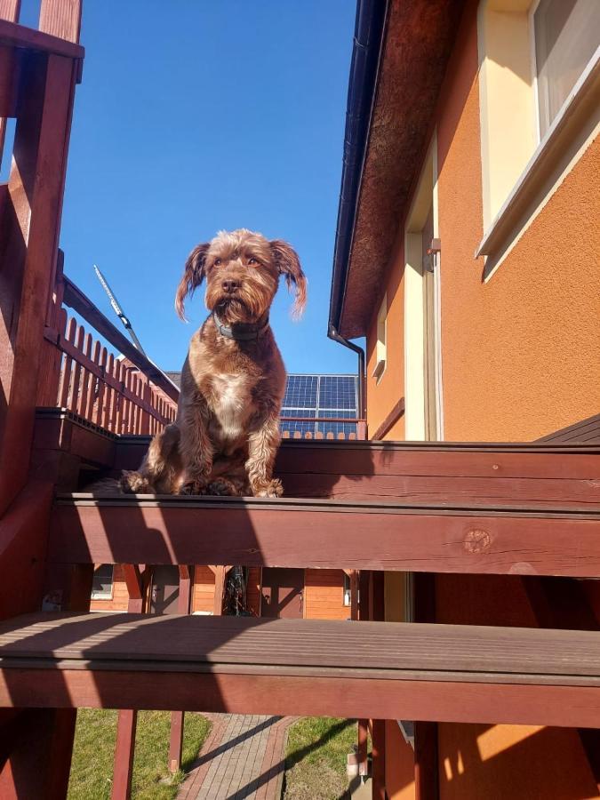 Siedlisko Na Zaciszu Apartamenty Katy Rybackie Ngoại thất bức ảnh